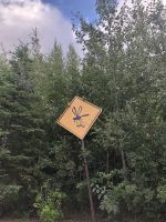 Alaska - Achtung Moskitos!