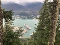 Alaska - Juneau - Mount Roberts - Blick auf die Norwegian Jewel