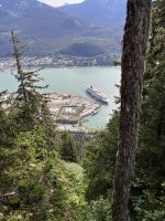 ...auf dem Mt. Roberts (1)