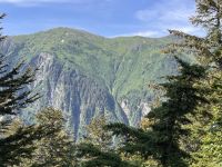 ...auf dem Mt. Roberts (6)