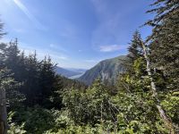 ...auf dem Mt. Roberts (8)