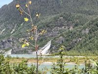 am Mendenhall Glacier (2)