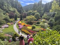 Butchard Gardens (3)