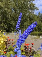 Native Heritage Center (1)