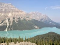 Lake Peyto