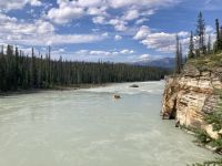 Athabasca Wasserfälle