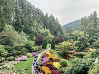 Butcharts Garden