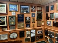 Schiffsbrücke NCL Jewel