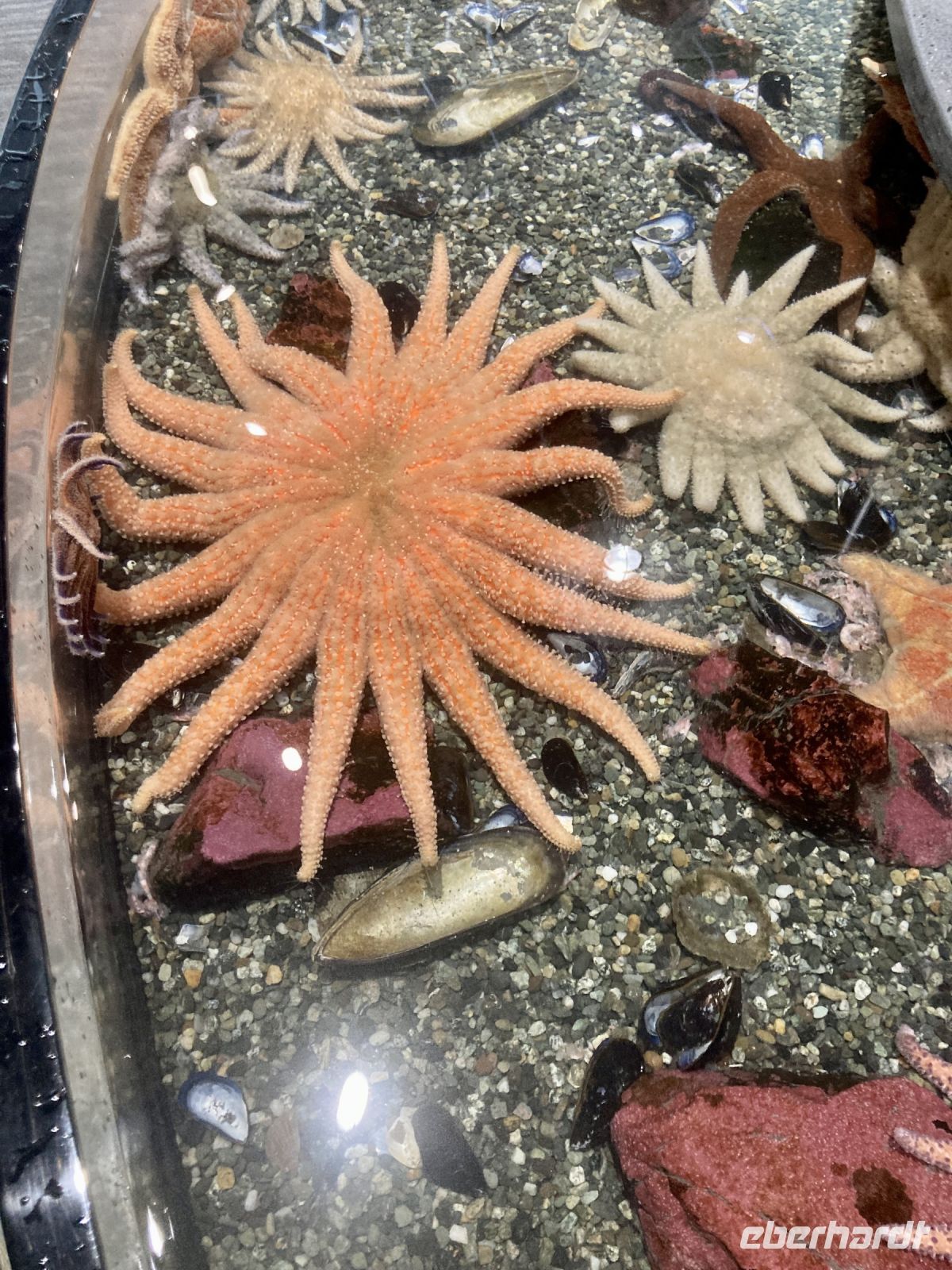 Sealife Center Seward