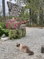 Bürgermeisterin Talkeetna