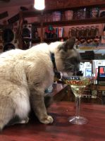 Bürgermeisterin Talkeetna