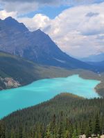 0024 Peyto Lake