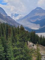0025 Peyto Gletscher
