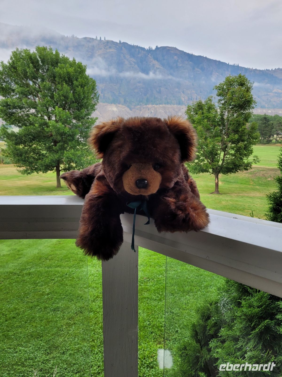 0040 Kamloops - wenn wir schon keinen echten Bären gesehen haben ...