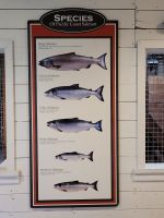 0108 Icy Strait Point