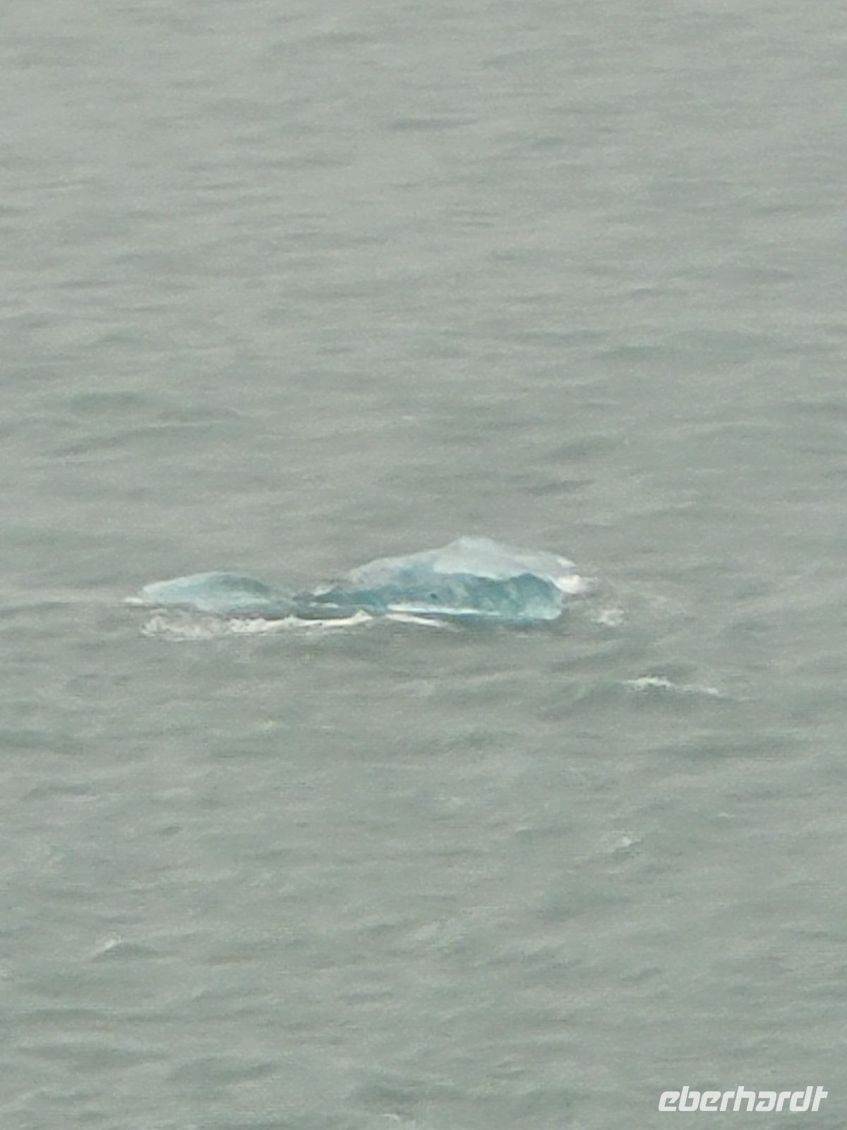 0109 Am Hubbard Gletscher