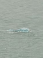 0109 Am Hubbard Gletscher