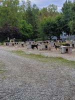 0125 Martin Busers Huskay-Farm