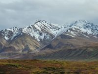 0139 Denali Nationalpark