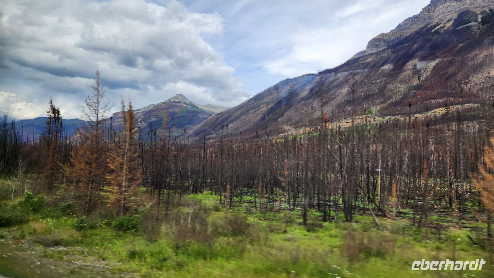 Gebiet um Jasper nach dem Waldbrand 2024