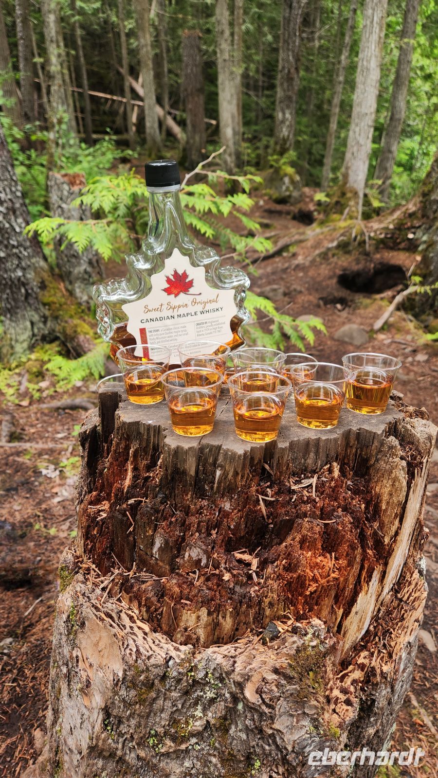 Maple Whisky - eine Kanadische Spezialität