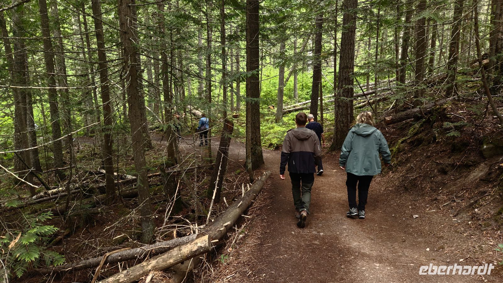 Wells Gray Provincial Park