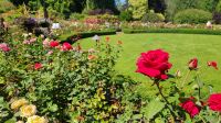 Butchart Gardens - Vancouver Island