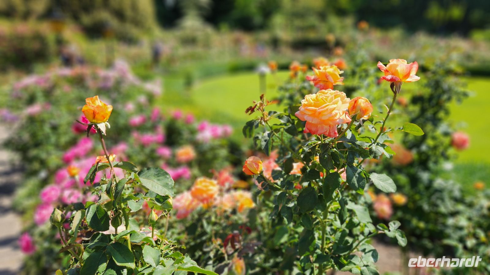 Butchart Gardens Vancouver Island
