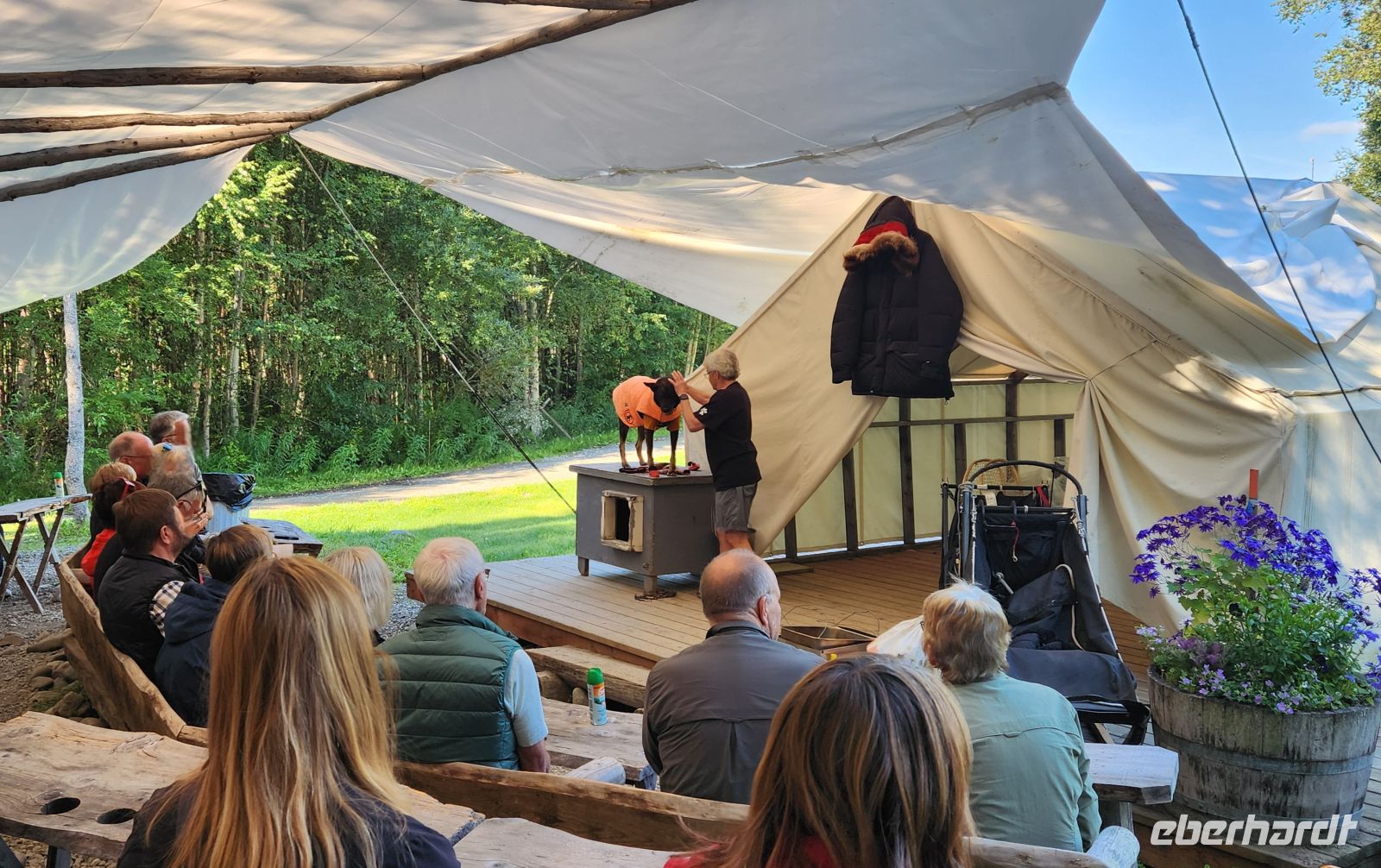 Martin Buser - Husky Farm