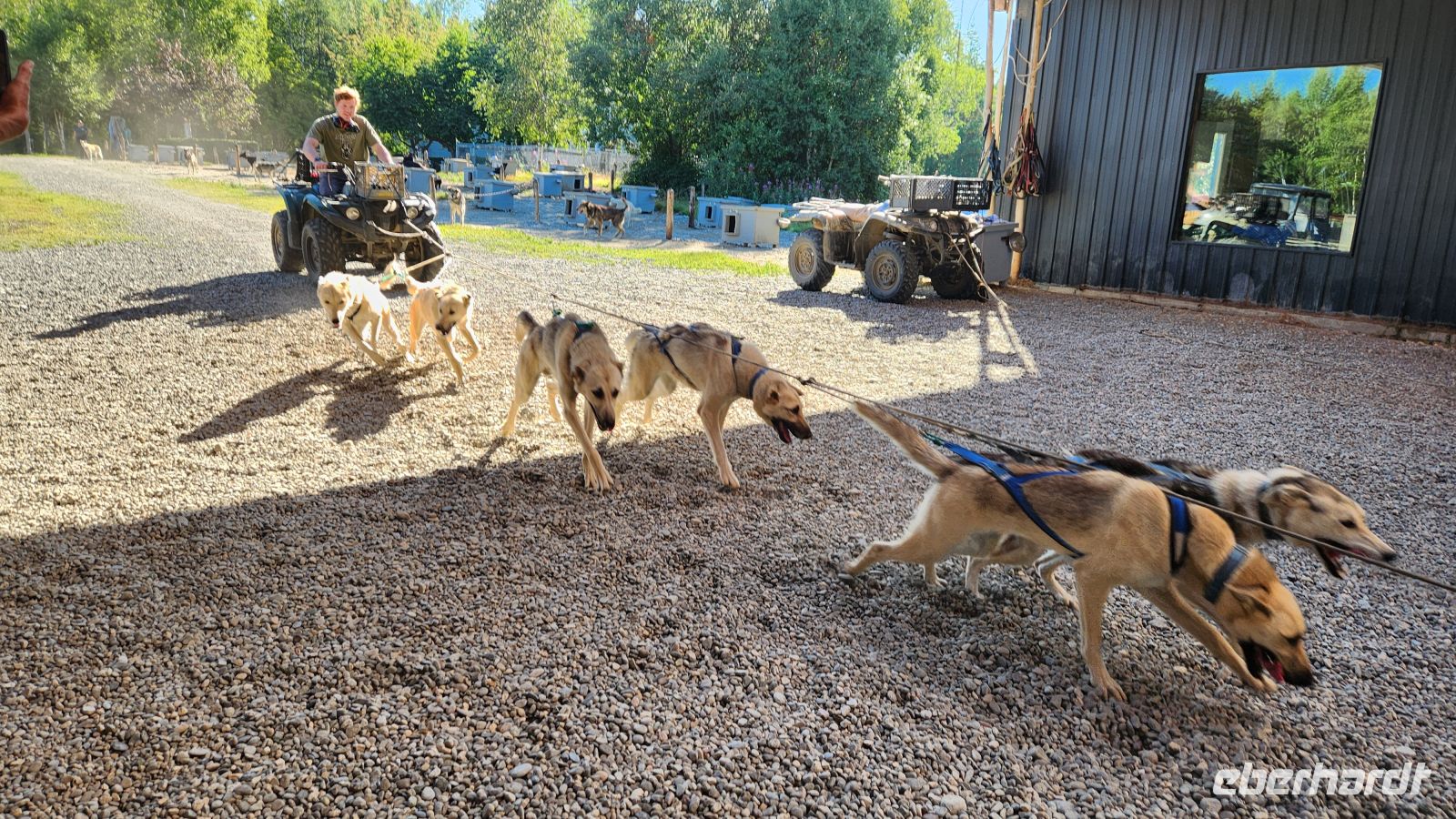 Martin Buser  - Husky Farm