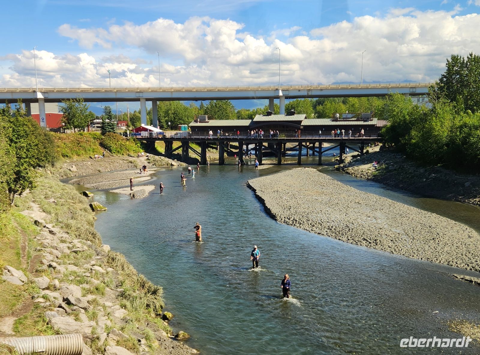 Anchorage - Lachs Angler