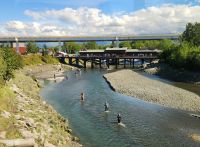 Anchorage - Lachs Angler