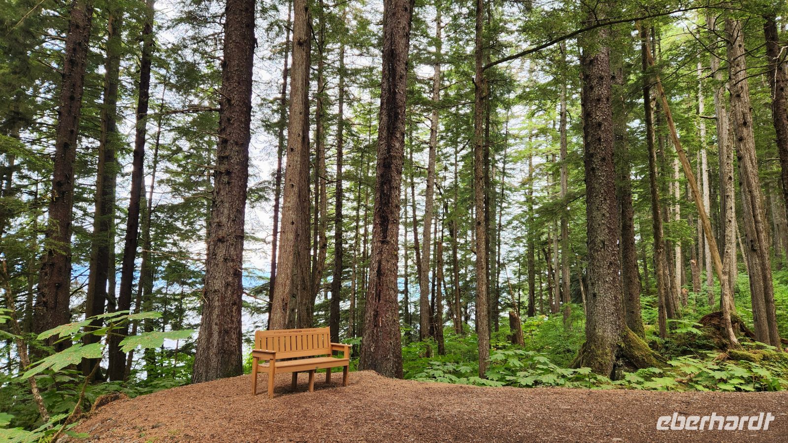 Ice Straight Point - Spazierweg