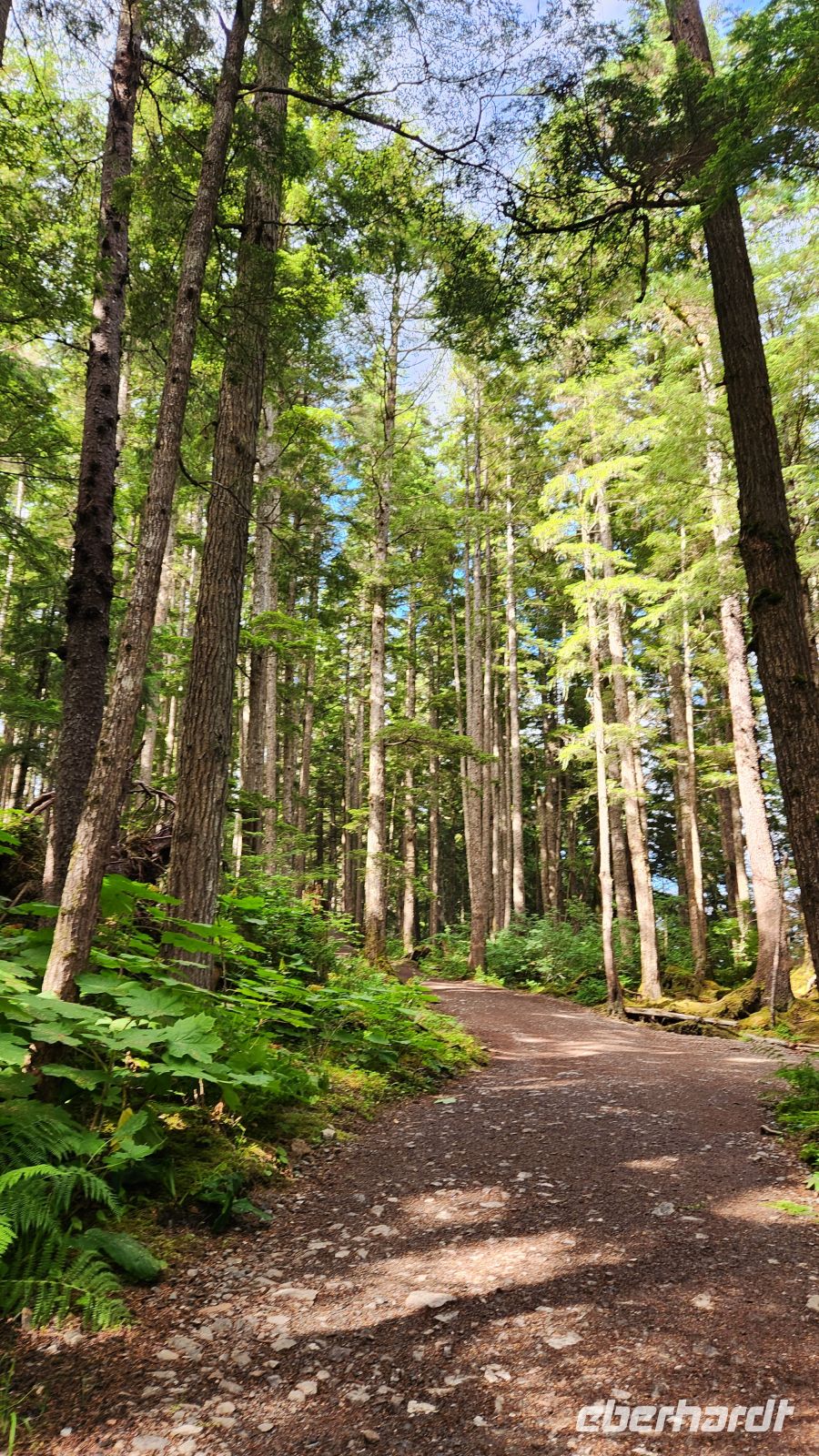 Ice Straight Point - Spazierweg