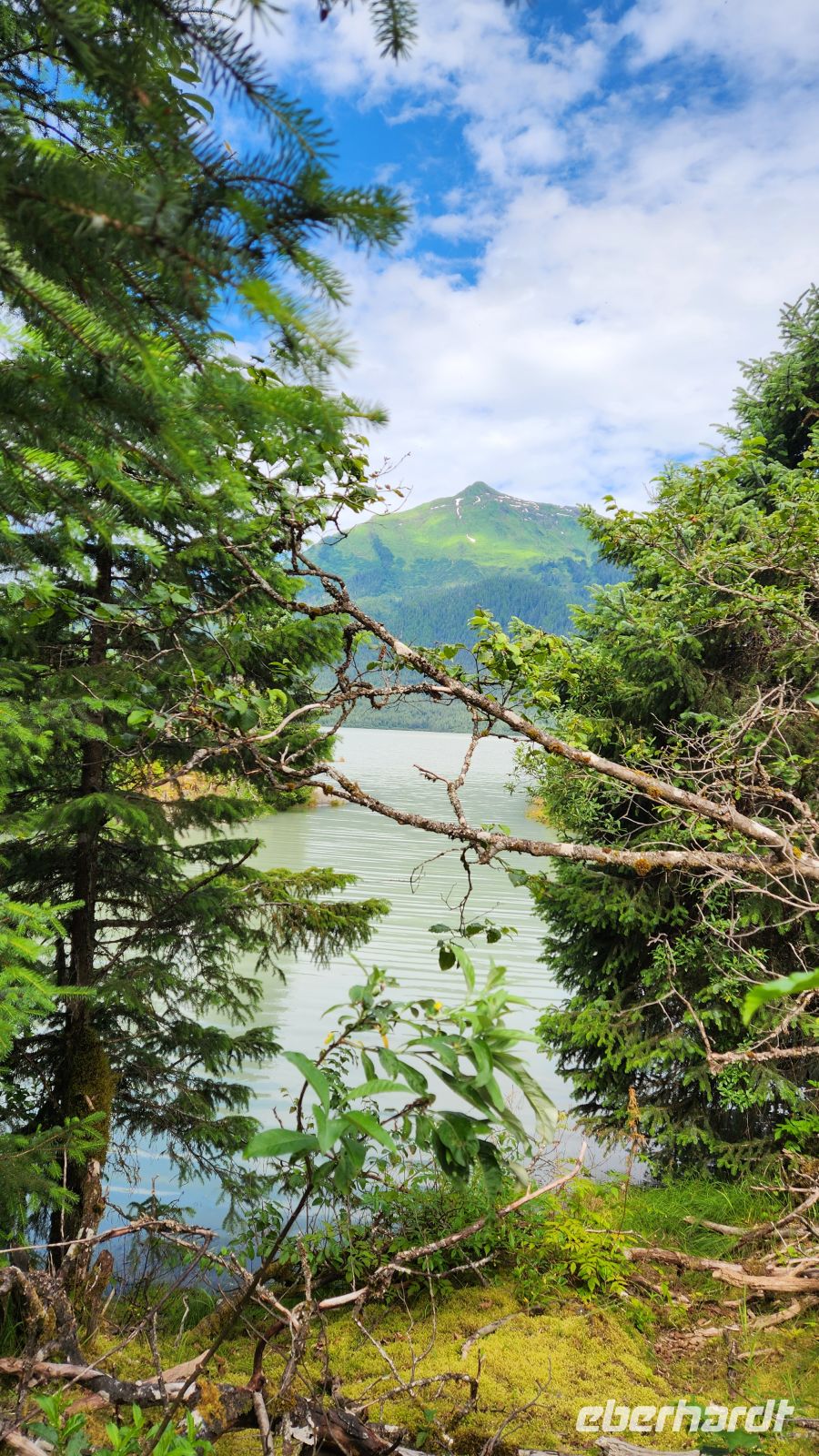 Spaziergang am Mendenhall - Gletscher