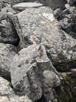 41. Rockpile Trail,  Lake Moraine, Banff Nationalpark.jpg