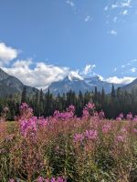 61. Mt. Robson, Höchste Erhebung der Kanad. Rocky Mountains, British Columbia.jpg