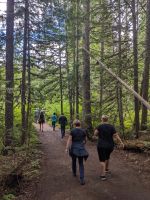 66. Dawson Falls im Wells Gray Provincial Park.jpg