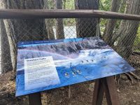 67. Dawson Falls im Wells Gray Provincial Park.jpg