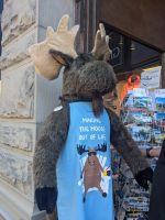 115. Humorvolle Souvenirs in Victoria, Vancouver Island.jpg