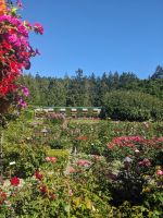 121. Besuch der Butchart Gardens, Vancouver Island.jpg