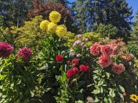 127. Besuch der Butchart Gardens, Vancouver Island.jpg