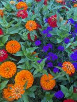 131. Besuch der Butchart Gardens, Vancouver Island.jpg