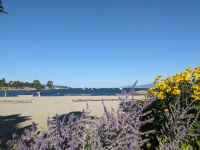 134. Spaziergang entlang der English Bay bis zur Fähre nach Granville Island, Vancouver.jpg