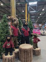 162. Ankunft in Ketchikan, Inside Passage, Alaska.jpg