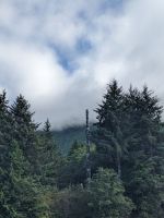 167. Totems - Schiffsausflug Lighthouse, Totems & Eagles, Ketchikan, Alaska.jpg