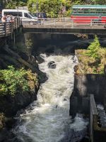 192. Salmon Ladder  -Spaziergang durch die Stadt - Ketchikan, Alaska.jpg