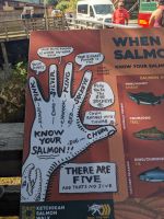 193. Salmon Ladder  -Spaziergang durch die Stadt - Ketchikan, Alaska.jpg