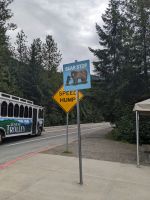 208. Mendelhall Gletscher, Juneau, Alaska.jpg