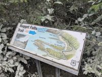 212. Mendelhall Gletscher, Juneau, Alaska.jpg